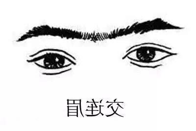 眉毛連在一起 面相